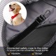 FDJASGY Pet Carrier Sling for Small Dogs and Cats, Breathable Mesh Hands-Free Puppy Backpack with Bag and Adjustable Carry Strap FDJASGY Pet Carrier Sling for Small Dogs and Cats, Breathable Mesh Hands-Free Puppy Backpack with Bag and Adjustable Carry Strap