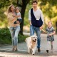 FainFun Dog Carrier Bag, Shoulder Bag for Pets, Reversible Small Dog Carrier up to 7 kg, Adjustable Pet Sling for Dogs, Dog Carrier for Walks/Outdoor Activities (Grey)