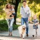 FePen Dog Carrier Bag up to 6.5 kg, Adjustable Pet Sling Shoulder Bag for Small Dogs, Dog Bag for Walks and Outdoor Activities (Black) FePen Dog Carrier Bag up to 6.5 kg, Adjustable Pet Sling Shoulder Bag for Small Dogs, Dog Bag for Walks and Outdoor Activities (Black)