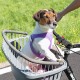 Ferplast Atlas Bike 20 Rapid Dog Bike Carrier, 47 x 35.5 x 34.5 cm, Grey Ferplast Atlas Bike 20 Rapid Dog Bike Carrier, 47 x 35.5 x 34.5 cm, Grey