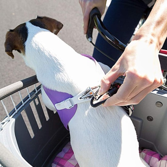 Ferplast Atlas Bike 20 Rapid Dog Bike Carrier, 47 x 35.5 x 34.5 cm, Grey Ferplast Atlas Bike 20 Rapid Dog Bike Carrier, 47 x 35.5 x 34.5 cm, Grey