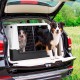 Ferplast Atlas Car 100 Transport Box for Dogs and Cats, Plastic, with Practical, Two-Way Sliding Door and Accessories Compartment, grey Ferplast Atlas Car 100 Transport Box for Dogs and Cats, Plastic, with Practical, Two-Way Sliding Door and Accessories Compartment, grey