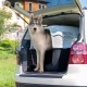 Ferplast Hundetransportbox CLIPPER PLUS, IATA- Hundetransportbox, große Hundetransportbox max 60 kg, sicherer Verschluss, mit Doppelfach für Zubehör, abnehmbarer Griff, 105 x 75 x h 79 cm Ferplast Hundetransportbox CLIPPER PLUS, IATA- Hundetransportbox, große Hundetransportbox max 60 kg, sicherer Verschluss, mit Doppelfach für Zubehör, abnehmbarer Griff, 105 x 75 x h 79 cm