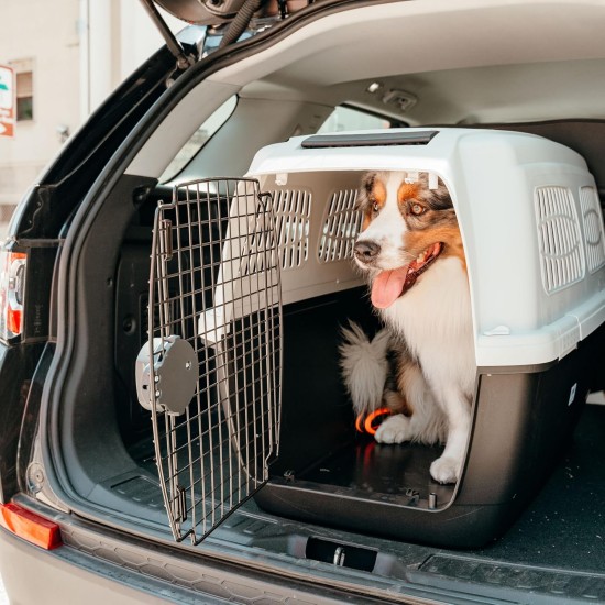 Ferplast Hundetransportbox CLIPPER PLUS, IATA- Hundetransportbox, große Hundetransportbox max 60 kg, sicherer Verschluss, mit Doppelfach für Zubehör, abnehmbarer Griff, 105 x 75 x h 79 cm Ferplast Hundetransportbox CLIPPER PLUS, IATA- Hundetransportbox, große Hundetransportbox max 60 kg, sicherer Verschluss, mit Doppelfach für Zubehör, abnehmbarer Griff, 105 x 75 x h 79 cm