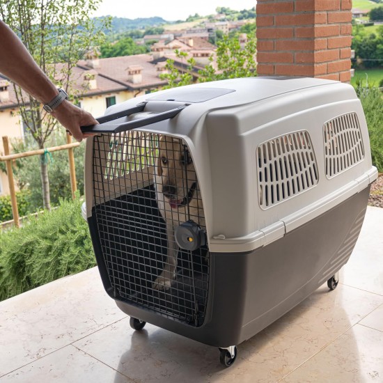 Ferplast Hundetransportbox CLIPPER PLUS, IATA- Hundetransportbox, große Hundetransportbox max 60 kg, sicherer Verschluss, mit Doppelfach für Zubehör, abnehmbarer Griff, 105 x 75 x h 79 cm Ferplast Hundetransportbox CLIPPER PLUS, IATA- Hundetransportbox, große Hundetransportbox max 60 kg, sicherer Verschluss, mit Doppelfach für Zubehör, abnehmbarer Griff, 105 x 75 x h 79 cm