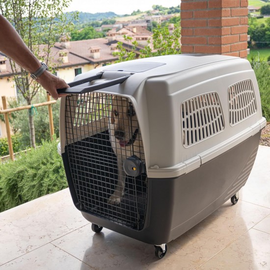 Ferplast Hundetransportbox CLIPPER PLUS, IATA- Hundetransportbox, mittlere Hundetransportbox max 20 kg, Sicherer Verschluss, mit Doppelfach für Zubehör, abnehmbarer Griff, 71 x 50 x h 51 cm Ferplast Hundetransportbox CLIPPER PLUS, IATA- Hundetransportbox, mittlere Hundetransportbox max 20 kg, Sicherer Verschluss, mit Doppelfach für Zubehör, abnehmbarer Griff, 71 x 50 x h 51 cm
