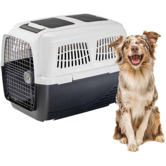 Ferplast Hundetransportbox CLIPPER PLUS, IATA- Hundetransportbox, mittlere Hundetransportbox max 30 kg, Sicherer Verschluss, mit Doppelfach für Zubehör, abnehmbarer Griff, 87 x 57 x h 60 cm Ferplast Hundetransportbox CLIPPER PLUS, IATA- Hundetransportbox, mittlere Hundetransportbox max 30 kg, Sicherer Verschluss, mit Doppelfach für Zubehör, abnehmbarer Griff, 87 x 57 x h 60 cm