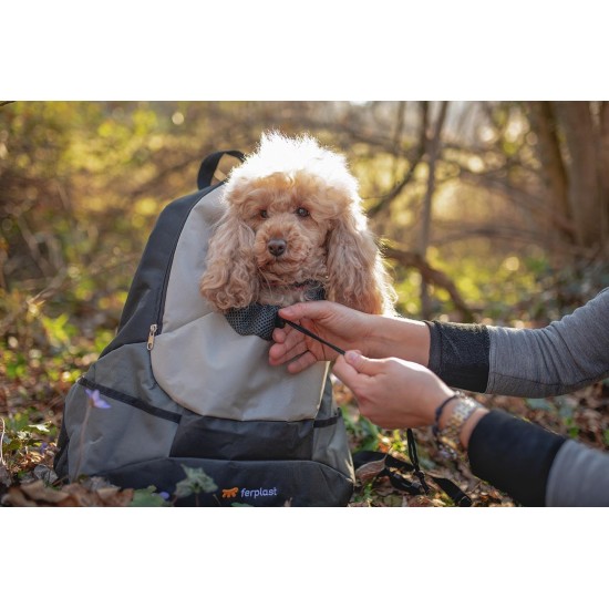 Ferplast KANGOO Dog Backpack Cat Backpack Dog Bag Wide Opening Seat Belt Adjustable Straps Max 8kg 41.5 x 20 x 43H cm, Grey Ferplast KANGOO Dog Backpack Cat Backpack Dog Bag Wide Opening Seat Belt Adjustable Straps Max 8kg 41.5 x 20 x 43H cm, Grey