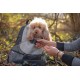 Ferplast KANGOO Dog Backpack Cat Backpack Dog Bag Wide Opening Seat Belt Adjustable Straps Max 8kg 41.5 x 20 x 43H cm, Grey Ferplast KANGOO Dog Backpack Cat Backpack Dog Bag Wide Opening Seat Belt Adjustable Straps Max 8kg 41.5 x 20 x 43H cm, Grey
