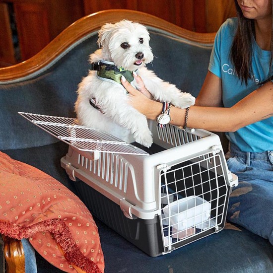 Ferplast Katzentransportbox, kleine mittelgroße Hundetransportbox, Hunde und Katzen bis 15 kg, plastifizierte Eisentür, Lüftungsschlitze, 40x60xH 38 cm, Hartschalen Transportbehälter ATLAS 30 EL, blau Ferplast Katzentransportbox, kleine mittelgroße Hundetransportbox, Hunde und Katzen bis 15 kg, plastifizierte Eisentür, Lüftungsschlitze, 40x60xH 38 cm, Hartschalen Transportbehälter ATLAS 30 EL, blau