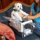 Ferplast Katzentransportbox, kleine mittelgroße Hundetransportbox, Hunde und Katzen bis 15 kg, plastifizierte Eisentür, Lüftungsschlitze, 40x60xH 38 cm, Hartschalen Transportbehälter ATLAS 30 EL, blau Ferplast Katzentransportbox, kleine mittelgroße Hundetransportbox, Hunde und Katzen bis 15 kg, plastifizierte Eisentür, Lüftungsschlitze, 40x60xH 38 cm, Hartschalen Transportbehälter ATLAS 30 EL, blau