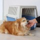 Ferplast Katzentransportbox, kleine mittelgroße Hundetransportbox, Hunde und Katzen bis 15 kg, plastifizierte Eisentür, Lüftungsschlitze, 40x60xH 38 cm, Hartschalen Transportbehälter ATLAS 30 EL, blau Ferplast Katzentransportbox, kleine mittelgroße Hundetransportbox, Hunde und Katzen bis 15 kg, plastifizierte Eisentür, Lüftungsschlitze, 40x60xH 38 cm, Hartschalen Transportbehälter ATLAS 30 EL, blau