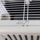 Ferplast Katzentransportbox, kleine mittelgroße Hundetransportbox, Hunde und Katzen bis 15 kg, plastifizierte Eisentür, Lüftungsschlitze, 40x60xH 38 cm, Hartschalen Transportbehälter ATLAS 30 EL, blau Ferplast Katzentransportbox, kleine mittelgroße Hundetransportbox, Hunde und Katzen bis 15 kg, plastifizierte Eisentür, Lüftungsschlitze, 40x60xH 38 cm, Hartschalen Transportbehälter ATLAS 30 EL, blau