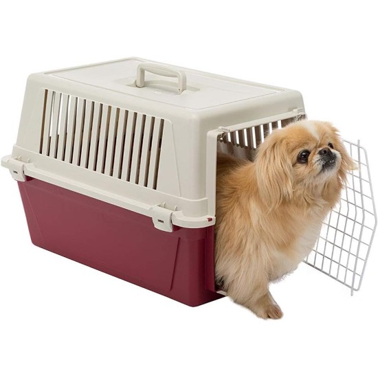 Ferplast Katzentransportbox, kleine mittelgroße Hundetransportbox, Hunde und Katzen bis 15 kg, plastifizierte Eisentür, Lüftungsschlitze, 40x60xH 38 cm, Hartschalen Transportbehälter ATLAS 30 EL, blau Ferplast Katzentransportbox, kleine mittelgroße Hundetransportbox, Hunde und Katzen bis 15 kg, plastifizierte Eisentür, Lüftungsschlitze, 40x60xH 38 cm, Hartschalen Transportbehälter ATLAS 30 EL, blau