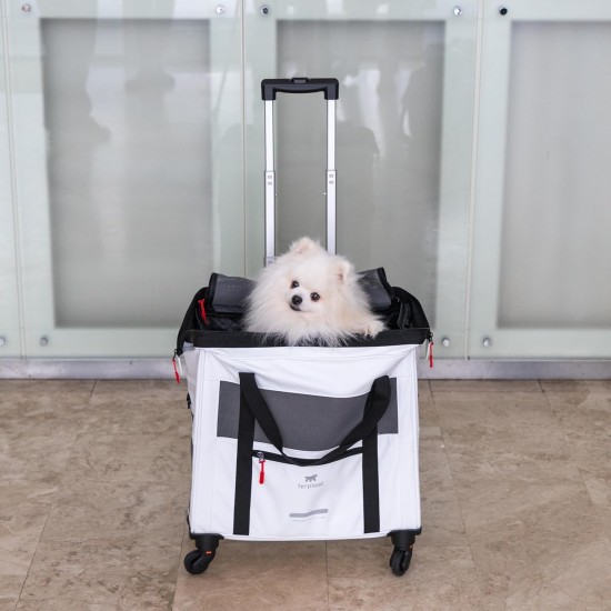 Ferplast Voyager Trolley, Cat Transport Box, Dog Bag, Extendable Handle, Adjustable Straps, Wide Opening, Removable Wheels, Max. 15 kg, 46 x 26 x 48 cm, Grey Ferplast Voyager Trolley, Cat Transport Box, Dog Bag, Extendable Handle, Adjustable Straps, Wide Opening, Removable Wheels, Max. 15 kg, 46 x 26 x 48 cm, Grey