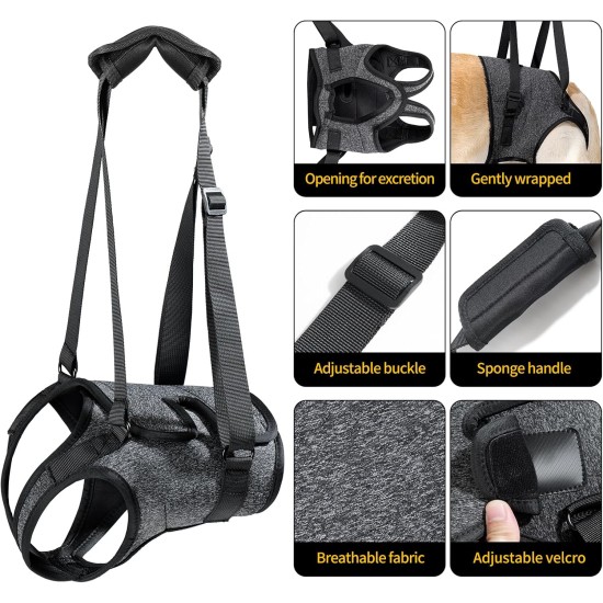 HEYWEAN Carrying Aid Dog Carrying Harness Dog Sling for Rear Legs with Handle Assistance Dog Small Medium Large Dogs Carrying Strap Dog Pull Harness Dog Leg Holder for Rear Legs Dog Carrier HEYWEAN Carrying Aid Dog Carrying Harness Dog Sling for Rear Legs with Handle Assistance Dog Small Medium Large Dogs Carrying Strap Dog Pull Harness Dog Leg Holder for Rear Legs Dog Carrier
