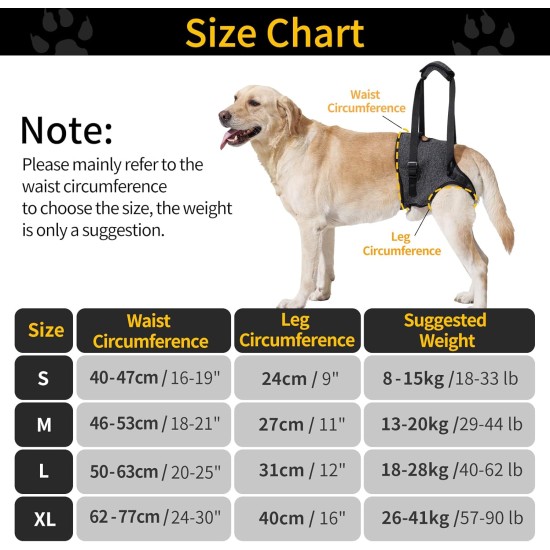 HEYWEAN Carrying Aid Dog Carrying Harness Dog Sling for Rear Legs with Handle Assistance Dog Small Medium Large Dogs Carrying Strap Dog Pull Harness Dog Leg Holder for Rear Legs Dog Carrier HEYWEAN Carrying Aid Dog Carrying Harness Dog Sling for Rear Legs with Handle Assistance Dog Small Medium Large Dogs Carrying Strap Dog Pull Harness Dog Leg Holder for Rear Legs Dog Carrier