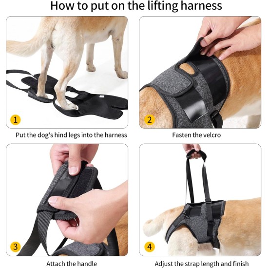 HEYWEAN Carrying Aid Dog Carrying Harness Dog Sling for Rear Legs with Handle Assistance Dog Small Medium Large Dogs Carrying Strap Dog Pull Harness Dog Leg Holder for Rear Legs Dog Carrier HEYWEAN Carrying Aid Dog Carrying Harness Dog Sling for Rear Legs with Handle Assistance Dog Small Medium Large Dogs Carrying Strap Dog Pull Harness Dog Leg Holder for Rear Legs Dog Carrier