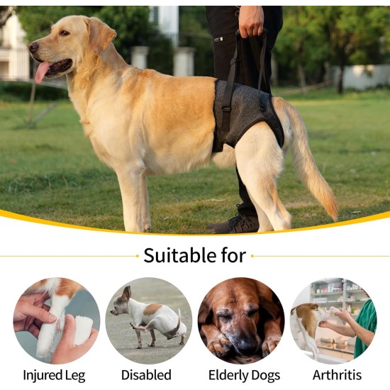 HEYWEAN Carrying Aid Dog Carrying Harness Dog Sling for Rear Legs with Handle Assistance Dog Small Medium Large Dogs Carrying Strap Dog Pull Harness Dog Leg Holder for Rear Legs Dog Carrier HEYWEAN Carrying Aid Dog Carrying Harness Dog Sling for Rear Legs with Handle Assistance Dog Small Medium Large Dogs Carrying Strap Dog Pull Harness Dog Leg Holder for Rear Legs Dog Carrier