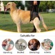 HEYWEAN Carrying Aid Dog Carrying Harness Dog Sling for Rear Legs with Handle Assistance Dog Small Medium Large Dogs Carrying Strap Dog Pull Harness Dog Leg Holder for Rear Legs Dog Carrier HEYWEAN Carrying Aid Dog Carrying Harness Dog Sling for Rear Legs with Handle Assistance Dog Small Medium Large Dogs Carrying Strap Dog Pull Harness Dog Leg Holder for Rear Legs Dog Carrier