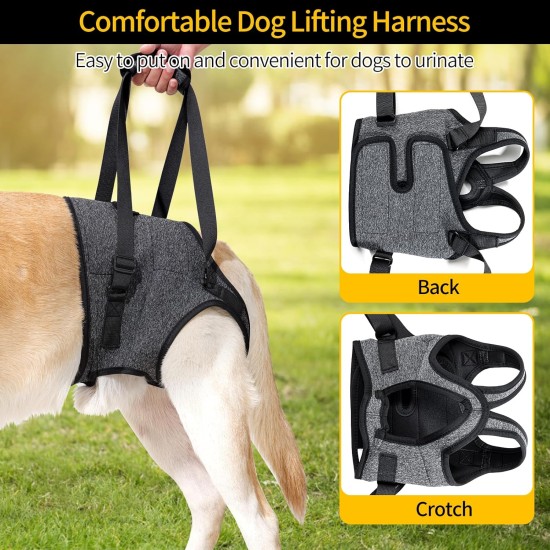 HEYWEAN Carrying Aid Dog Carrying Harness Dog Sling for Rear Legs with Handle Assistance Dog Small Medium Large Dogs Carrying Strap Dog Pull Harness Dog Leg Holder for Rear Legs Dog Carrier HEYWEAN Carrying Aid Dog Carrying Harness Dog Sling for Rear Legs with Handle Assistance Dog Small Medium Large Dogs Carrying Strap Dog Pull Harness Dog Leg Holder for Rear Legs Dog Carrier