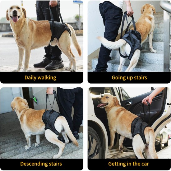 HEYWEAN Carrying Aid Dog Carrying Harness Dog Sling for Rear Legs with Handle Assistance Dog Small Medium Large Dogs Carrying Strap Dog Pull Harness Dog Leg Holder for Rear Legs Dog Carrier HEYWEAN Carrying Aid Dog Carrying Harness Dog Sling for Rear Legs with Handle Assistance Dog Small Medium Large Dogs Carrying Strap Dog Pull Harness Dog Leg Holder for Rear Legs Dog Carrier