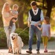 Hands-Free Dog Bag, Carry Bag Dog Cat Backpack Sling Dog Pet Dog Sling with Adjustable Strap up to for Dogs Cats Outdoor Activities Up to 9 kg Hands-Free Dog Bag, Carry Bag Dog Cat Backpack Sling Dog Pet Dog Sling with Adjustable Strap up to for Dogs Cats Outdoor Activities Up to 9 kg
