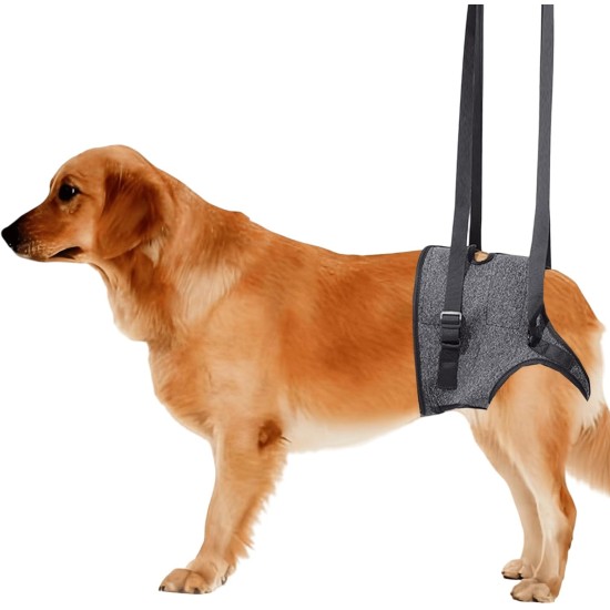 Hundehebegeschirr, Weiche Hunde Tragehilfe, Verstellbare Gehhilfe, Hundestützgeschirr für die Hinterbeine, Hundetragegurt, Sicherheitsunterstützung für behinderte, verletzte oder ältere Hunde(XL) Hundehebegeschirr, Weiche Hunde Tragehilfe, Verstellbare Gehhilfe, Hundestützgeschirr für die Hinterbeine, Hundetragegurt, Sicherheitsunterstützung für behinderte, verletzte oder ältere Hunde(XL)