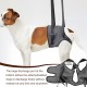 Hundehebegeschirr, Weiche Hunde Tragehilfe, Verstellbare Gehhilfe, Hundestützgeschirr für die Hinterbeine, Hundetragegurt, Sicherheitsunterstützung für behinderte, verletzte oder ältere Hunde(XL) Hundehebegeschirr, Weiche Hunde Tragehilfe, Verstellbare Gehhilfe, Hundestützgeschirr für die Hinterbeine, Hundetragegurt, Sicherheitsunterstützung für behinderte, verletzte oder ältere Hunde(XL)