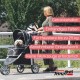 Innopet, Free Rain And Wind Cover, Monaco Stroller, Non Zipp Mesh Front Window Stroller