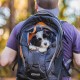 Kurgo G-Train backpack with integrated dog compartment, waterproof base, with bottle holders, for pets up to 11 kg, red Kurgo G-Train backpack with integrated dog compartment, waterproof base, with bottle holders, for pets up to 11 kg, red