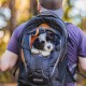 Kurgo G-Train backpack with integrated dog compartment, waterproof base, with bottle holders, for pets up to 11 kg, red Kurgo G-Train backpack with integrated dog compartment, waterproof base, with bottle holders, for pets up to 11 kg, red