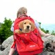 Kurgo G-Train backpack with integrated dog compartment, waterproof base, with bottle holders, for pets up to 11 kg, red Kurgo G-Train backpack with integrated dog compartment, waterproof base, with bottle holders, for pets up to 11 kg, red