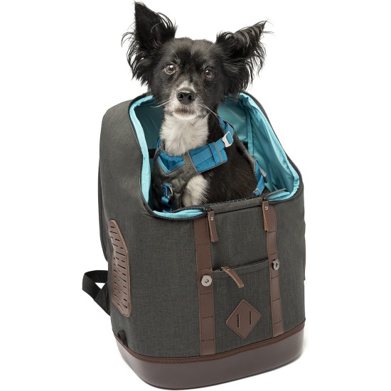 Kurgo K9 Dog Backpack for Dogs up to 11 kg, Carry Bag for Dogs and Cats, Includes Laptop Compartment and iPad Compartment, Includes Bottle Opener Buckle, Waterproof Base Kurgo K9 Dog Backpack for Dogs up to 11 kg, Carry Bag for Dogs and Cats, Includes Laptop Compartment and iPad Compartment, Includes Bottle Opener Buckle, Waterproof Base