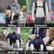 Large Dog Carrier, Dog Backpack, Pet Leg Support, Dog Harness, Dog Carrier for Elderly Dogs, Joint Injuries, Arthritis, Up and Down Stairs, Paralysis, XXXL for