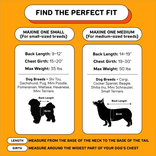 Little Chonk The Maxine One Dog Backpack - Front Safe and Comfortable Chonkcrete Grey Little Chonk The Maxine One Dog Backpack - Front Safe and Comfortable Chonkcrete Grey