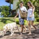 Lyneun Dog Carrier Bag for Pets, Adjustable Shoulder Bag, Transport Bag for Pets, Breathable Transport Bag for Cats and Dogs, Suitable for Walking and Outdoor Activities and Excursions