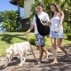 Lyneun Dog Carrier Bag for Pets, Adjustable Shoulder Bag, Transport Bag for Pets, Breathable Transport Bag for Cats and Dogs, Suitable for Walking and Outdoor Activities and Excursions