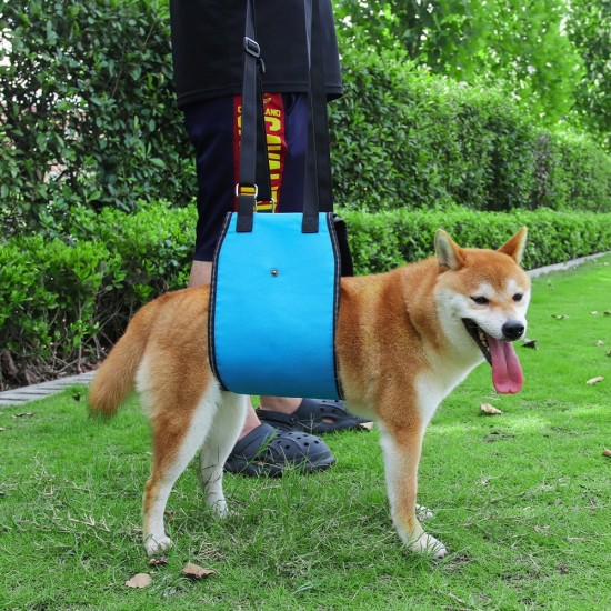 MHwan Dog Carrier Dog Friendly Blue Design with Adjustable Carry Strap Dog that Provides Secure Hold for Disabled and Older Dogs When Walking, Stair Aid for Dogs MHwan Dog Carrier Dog Friendly Blue Design with Adjustable Carry Strap Dog that Provides Secure Hold for Disabled and Older Dogs When Walking, Stair Aid for Dogs