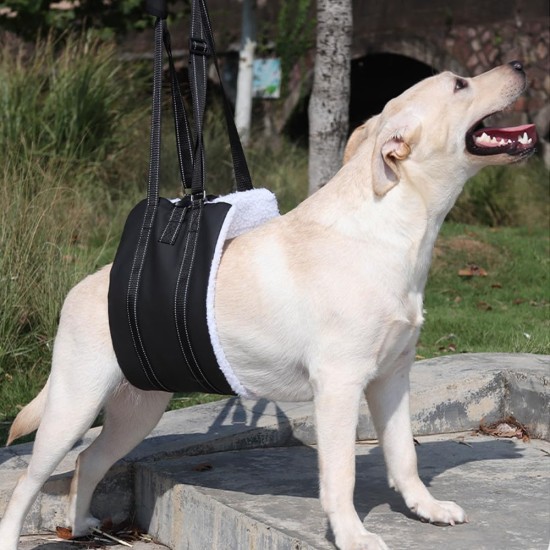 MHwan Dog Carrying Aid for Walking, Improved Design of Portable Buckle on the Back, High-Quality Waterproof and Dirt-Repellent PU Leather and Fluffy Soft Material MHwan Dog Carrying Aid for Walking, Improved Design of Portable Buckle on the Back, High-Quality Waterproof and Dirt-Repellent PU Leather and Fluffy Soft Material