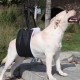MHwan Dog Carrying Aid for Walking, Improved Design of Portable Buckle on the Back, High-Quality Waterproof and Dirt-Repellent PU Leather and Fluffy Soft Material MHwan Dog Carrying Aid for Walking, Improved Design of Portable Buckle on the Back, High-Quality Waterproof and Dirt-Repellent PU Leather and Fluffy Soft Material