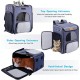 Morpilot Cat Backpack Dog Backpack for Cats and Small Dogs 7 kg, Foldable Pet Backpack with Inner Safety Lead and Shell Morpilot Cat Backpack Dog Backpack for Cats and Small Dogs 7 kg, Foldable Pet Backpack with Inner Safety Lead and Shell
