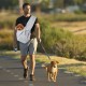 NiCoLa Puppy Sling Dog Carrier Bag Puppy Sling for Small Breed Dogs Black Breathable Hands-Free Travel Shopping Hiking Riding Outdoor NiCoLa Puppy Sling Dog Carrier Bag Puppy Sling for Small Breed Dogs Black Breathable Hands-Free Travel Shopping Hiking Riding Outdoor