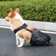 Nicear Dog Wiping Bag, Dog Protection Bag, Wear-Resistant Breathable for Medium Dogs (L) Nicear Dog Wiping Bag, Dog Protection Bag, Wear-Resistant Breathable for Medium Dogs (L)