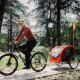 Nobby 62395 Senlima S Bicycle Trailer W 53 x H 60 x L 60/117 cm up to 15 kg Nobby 62395 Senlima S Bicycle Trailer W 53 x H 60 x L 60/117 cm up to 15 kg