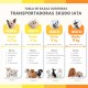 Nobby Skudo Transport Box for Small Dogs and Cats, grey Nobby Skudo Transport Box for Small Dogs and Cats, grey
