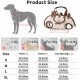PETCUTE 4-in-1 Dog Carry Bag, Lifting Harness for Large Dogs, Breathable Pet Shoulder Bag, Transport Bag for Small Puppies, Pet Carry Bag with Shoulder Strap, for Outdoor Walks PETCUTE 4-in-1 Dog Carry Bag, Lifting Harness for Large Dogs, Breathable Pet Shoulder Bag, Transport Bag for Small Puppies, Pet Carry Bag with Shoulder Strap, for Outdoor Walks