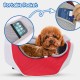PETCUTE Dog Carrier Bag, Adjustable Transport Bag for Pets, Puppies Shoulder Bag for Outdoor Travel, Breathable Pet Carrier Bag with Safety Lead, Up to 4 kg, Black, S PETCUTE Dog Carrier Bag, Adjustable Transport Bag for Pets, Puppies Shoulder Bag for Outdoor Travel, Breathable Pet Carrier Bag with Safety Lead, Up to 4 kg, Black, S