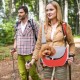 PETCUTE Dog Carrier Bag, Adjustable Transport Bag for Pets, Puppies Shoulder Bag for Outdoor Travel, Breathable Pet Carrier Bag with Safety Lead, Up to 4 kg, Black, S PETCUTE Dog Carrier Bag, Adjustable Transport Bag for Pets, Puppies Shoulder Bag for Outdoor Travel, Breathable Pet Carrier Bag with Safety Lead, Up to 4 kg, Black, S