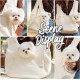 PETCUTE Dog Carrier Bags for Small Dogs, Washable Dog Carrier, Hands-Free Pet Carrier with Safety Belt, Removable Base Plate, Cat Carry Bag, Reduces Back Pain PETCUTE Dog Carrier Bags for Small Dogs, Washable Dog Carrier, Hands-Free Pet Carrier with Safety Belt, Removable Base Plate, Cat Carry Bag, Reduces Back Pain
